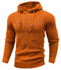 AlpenNord™ | Phantom Men's Hoodie